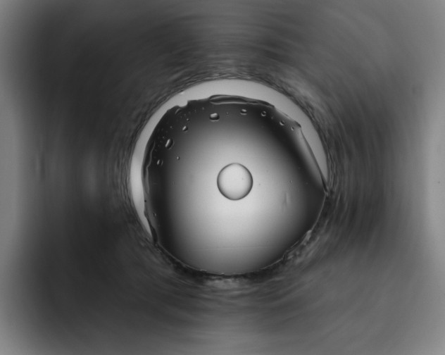 X0000091890417200709261643