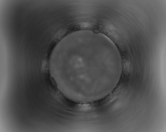 X0000091890419200709261643