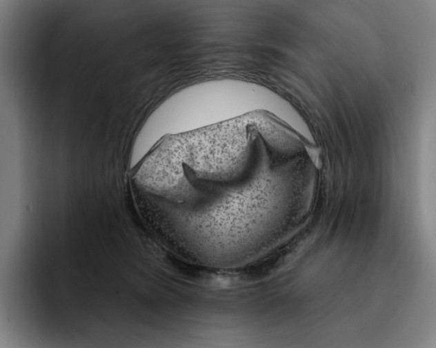 X0000091890420200709261643