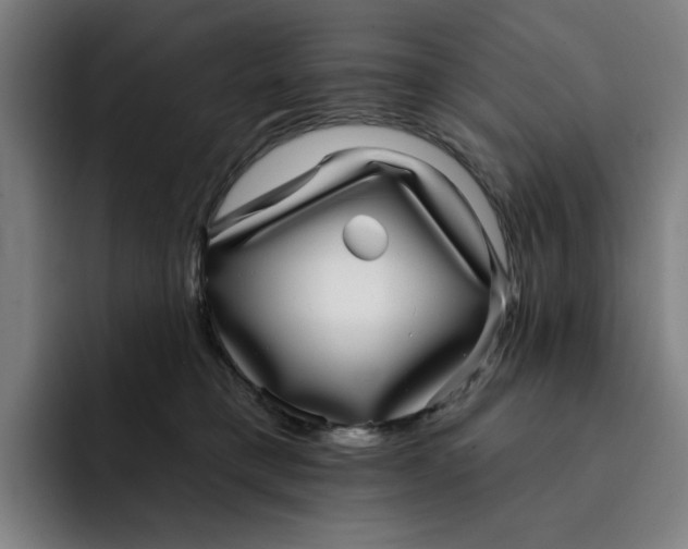 X0000091890421200709261643