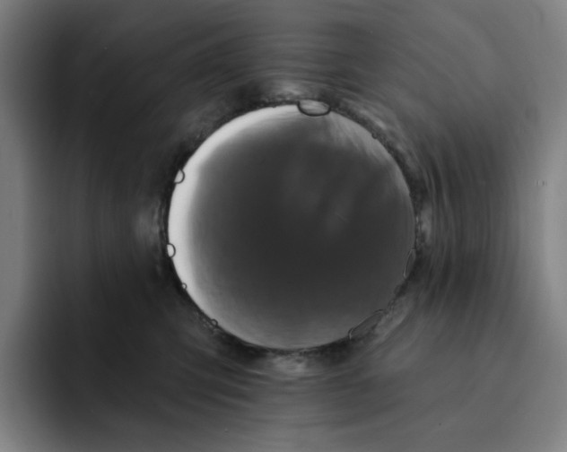 X0000091890423200709261643