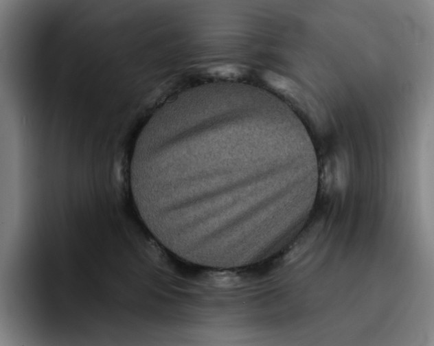 X0000091890424200709261643