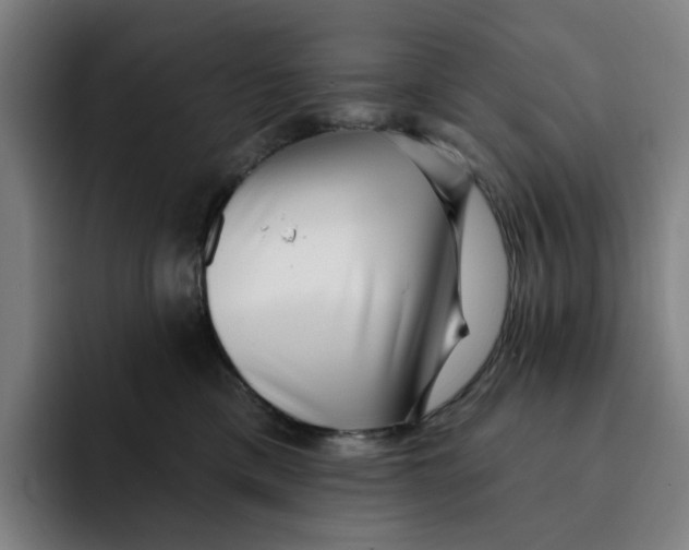 X0000091890425200709261643