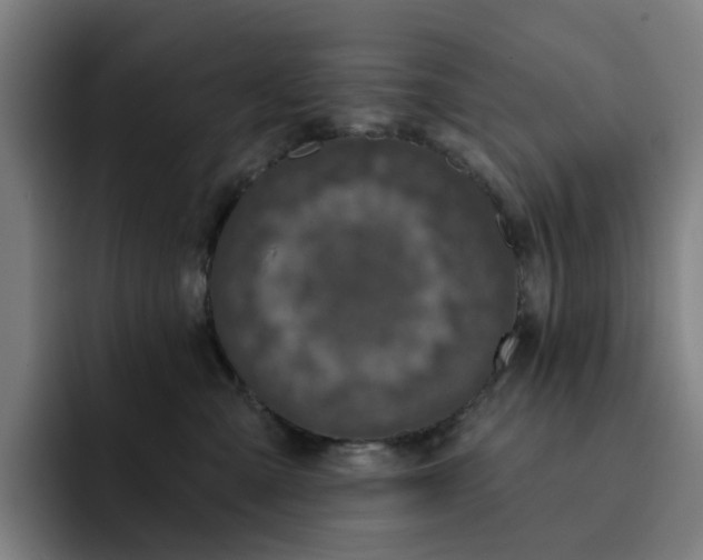 X0000091890427200709261643