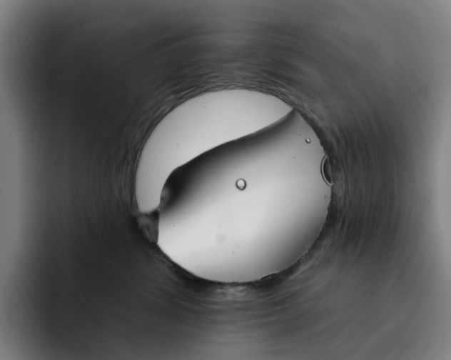 X0000091890428200709261643