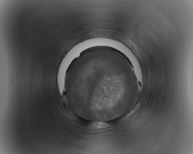 X0000091890429200709261643