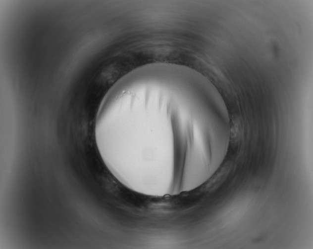 X0000091890430200709261643