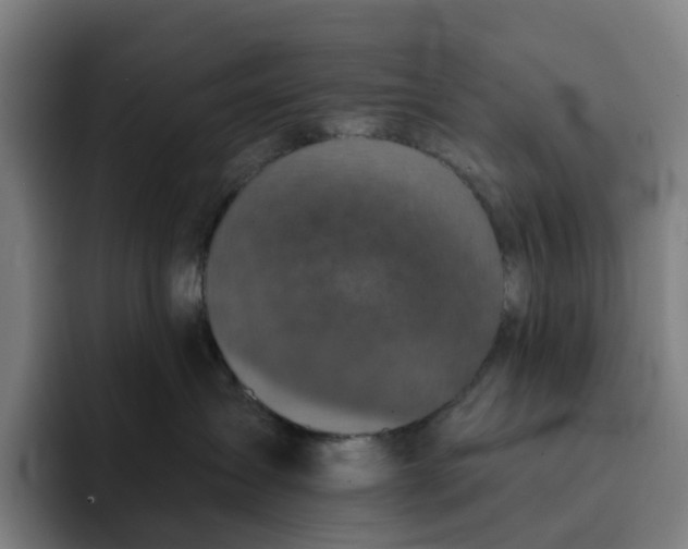 X0000091890431200709261643