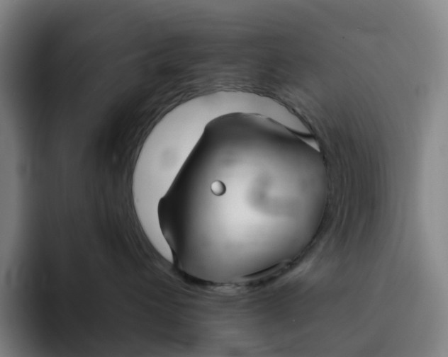 X0000091890432200709261643