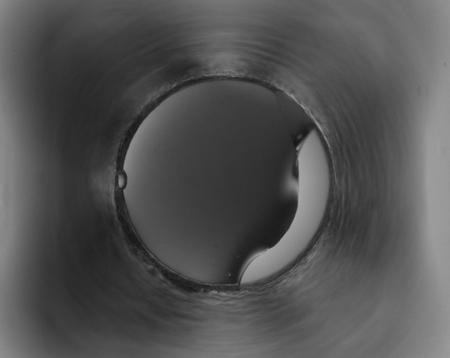 X0000091890434200709261642