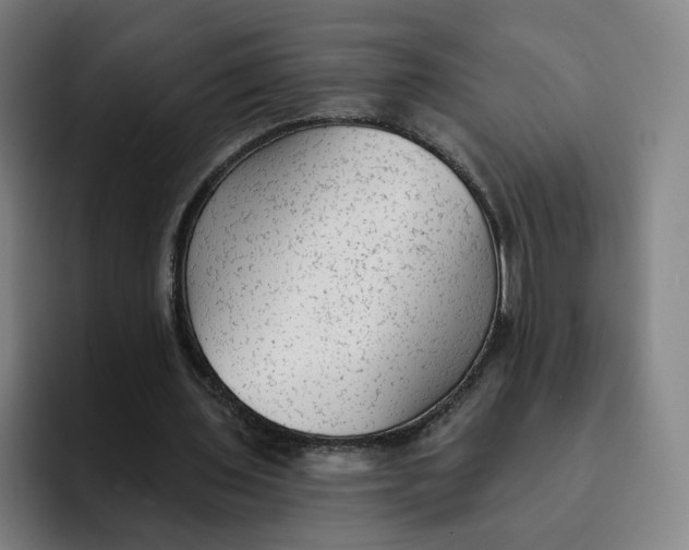 X0000091890435200709261642