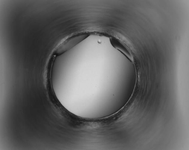 X0000091890436200709261642