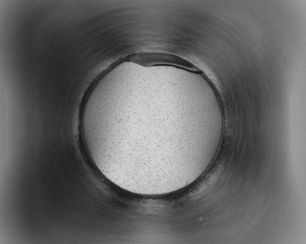 X0000091890437200709261642