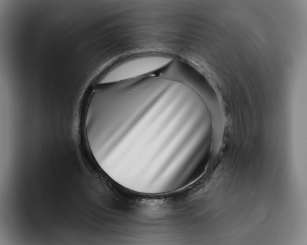 X0000091890440200709261642