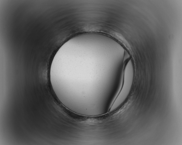 X0000091890441200709261642