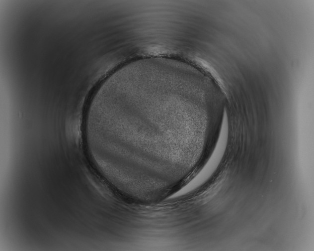 X0000091890443200709261642