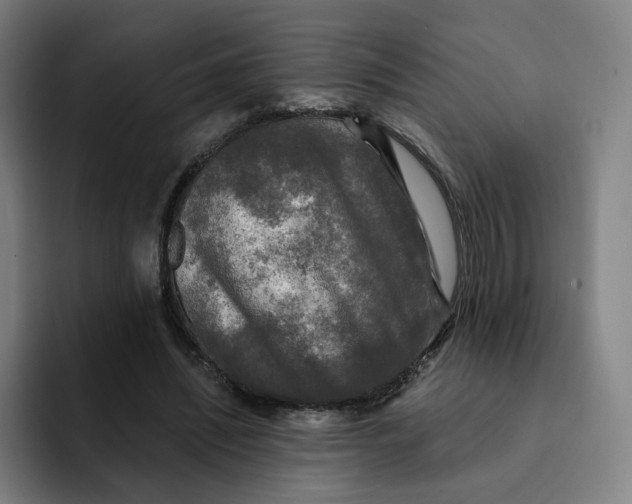 X0000091890444200709261642