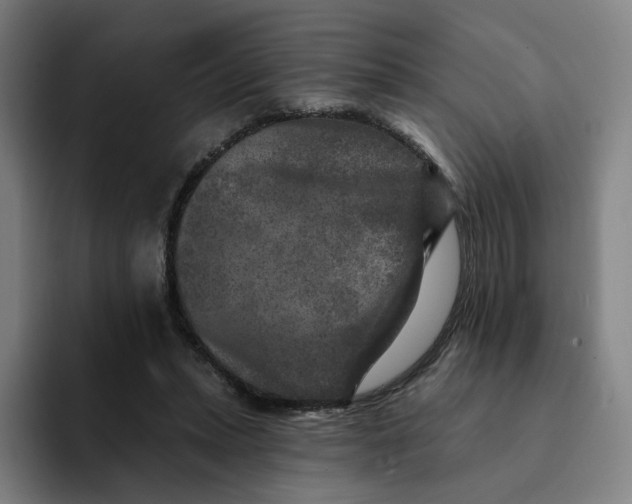 X0000091890447200709261642