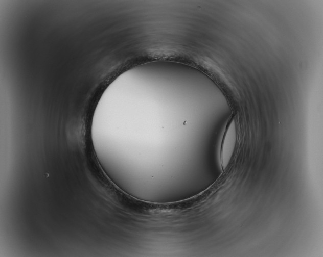 X0000091890448200709261642