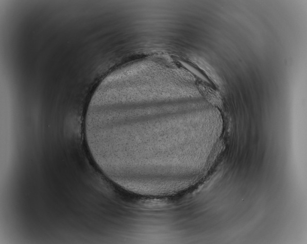 X0000091890449200709261642