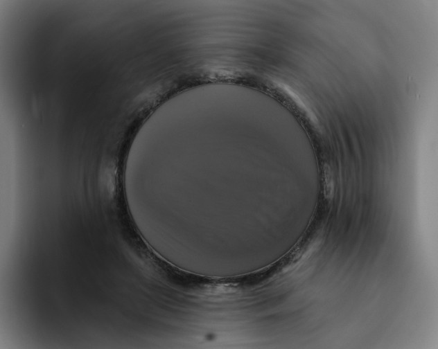 X0000091890451200709261642