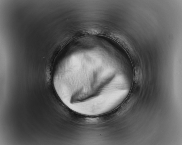 X0000091890457200709261642