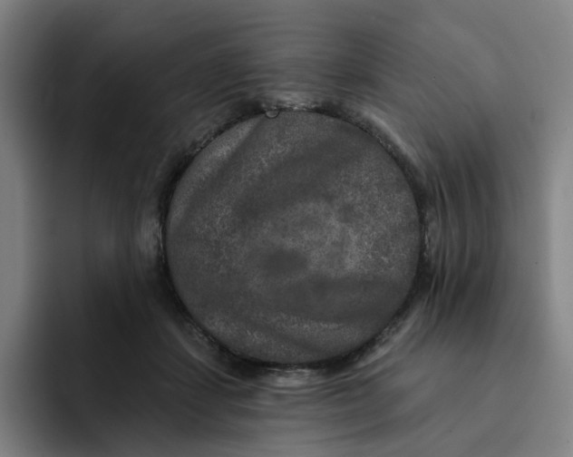 X0000091890459200709261642