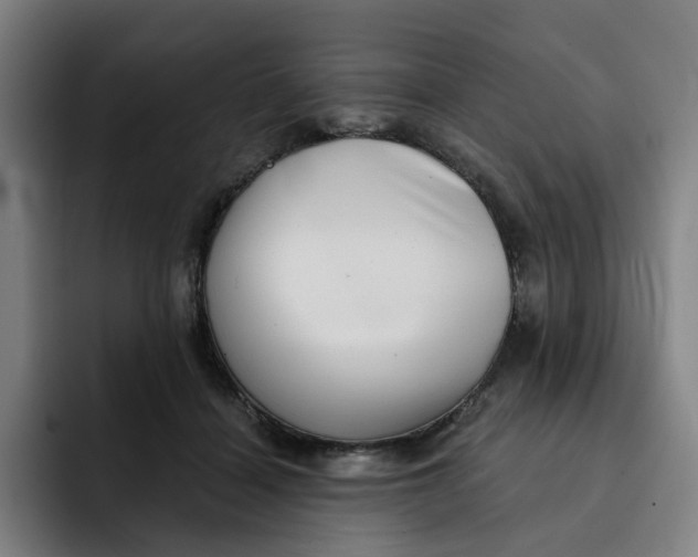 X0000091890460200709261642