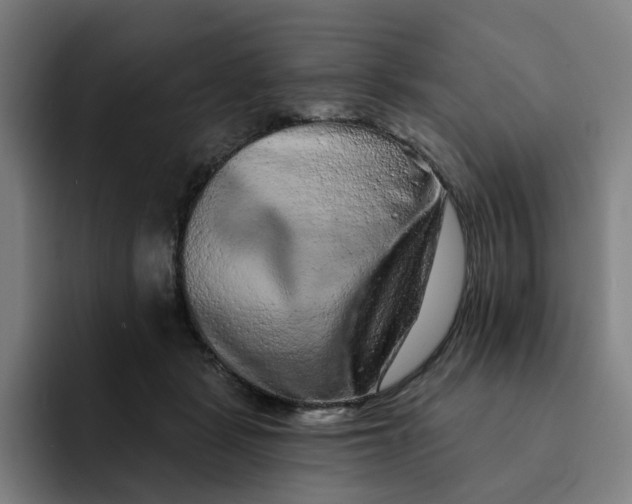 X0000091890461200709261642