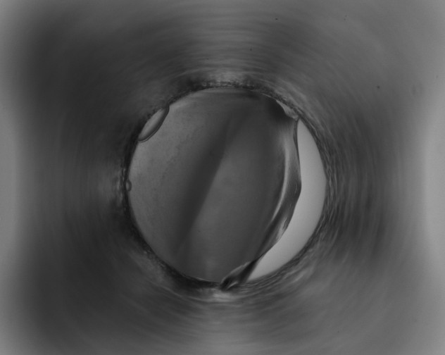 X0000091890462200709261642