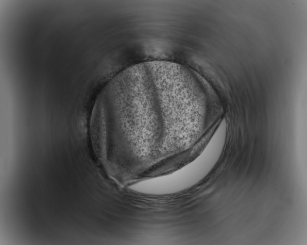 X0000091890466200709261643