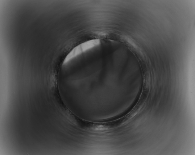 X0000091890467200709261643