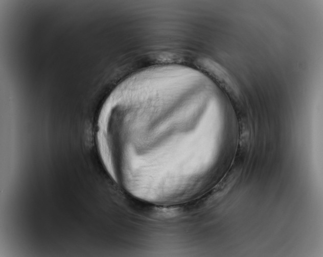 X0000091890469200709261643