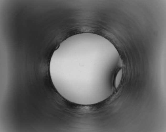 X0000091890473200709261643