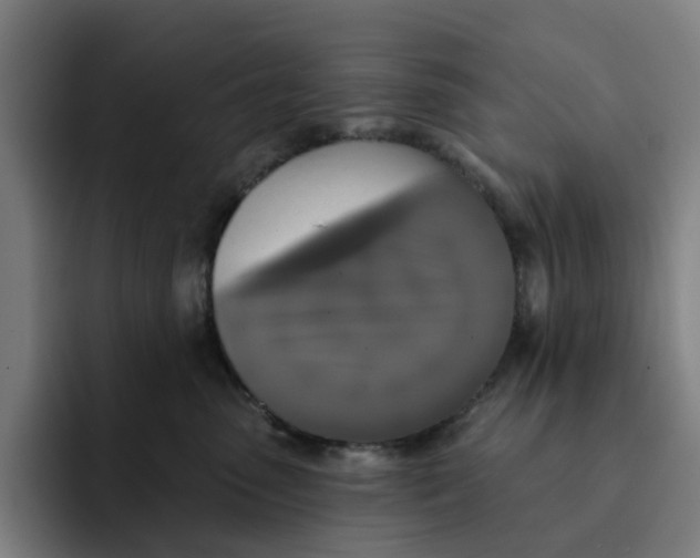 X0000091890475200709261643