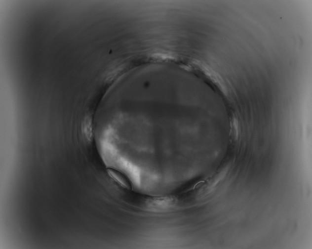 X0000091890479200709261643