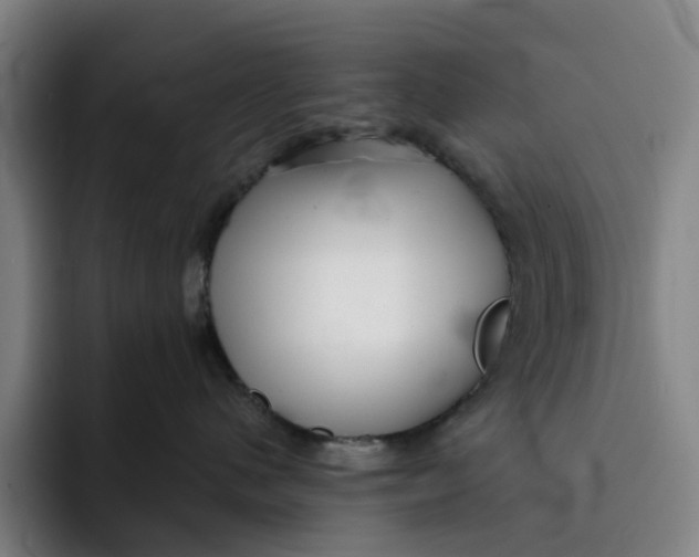 X0000091890480200709261643