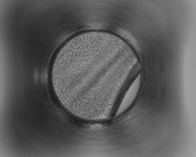 X0000091890483200709261642