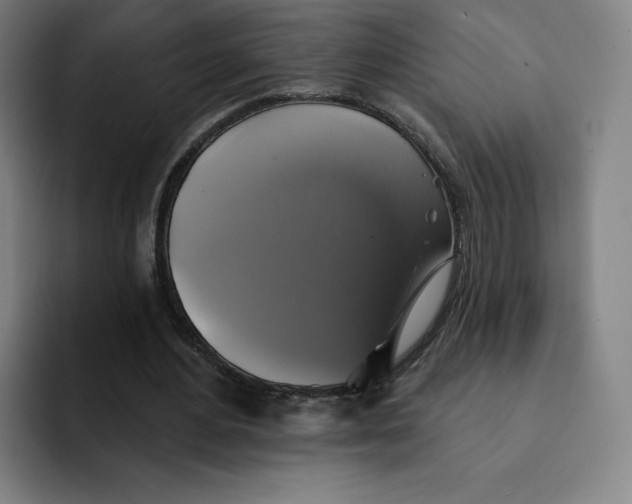 X0000091890484200709261642