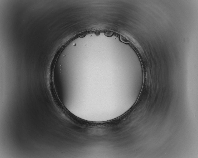 X0000091890485200709261642