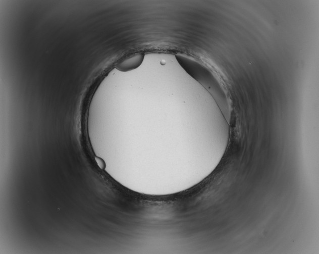 X0000091890486200709261642