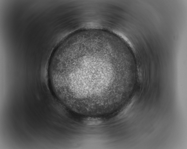 X0000091890487200709261642