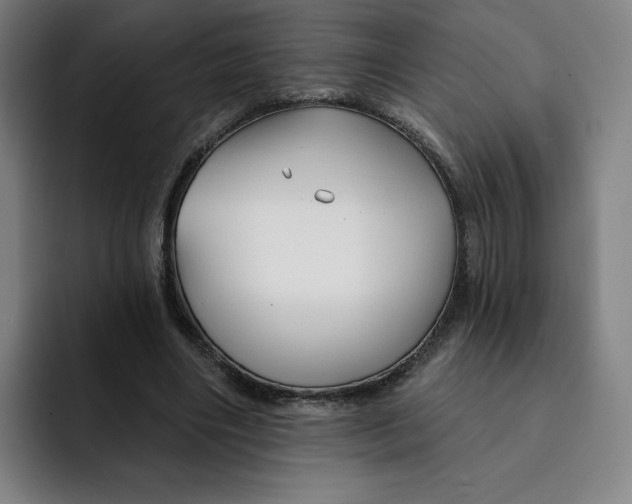 X0000091890490200709261642