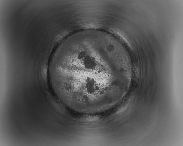 X0000091890491200709261642