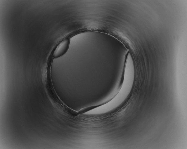 X0000091890492200709261642