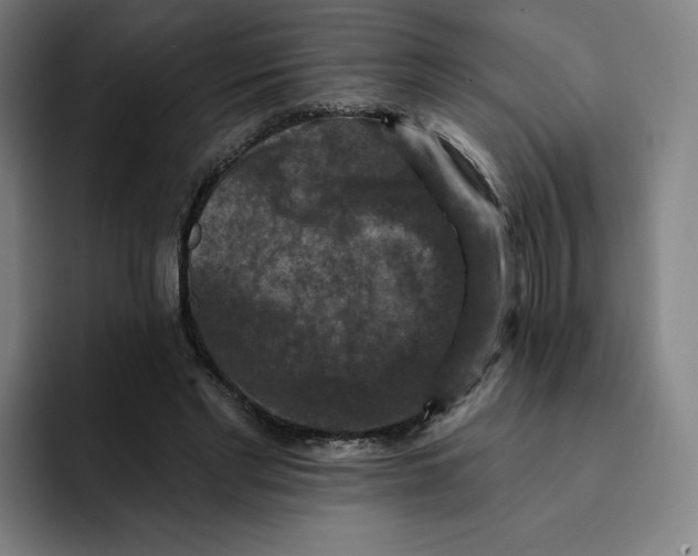 X0000091890493200709261642