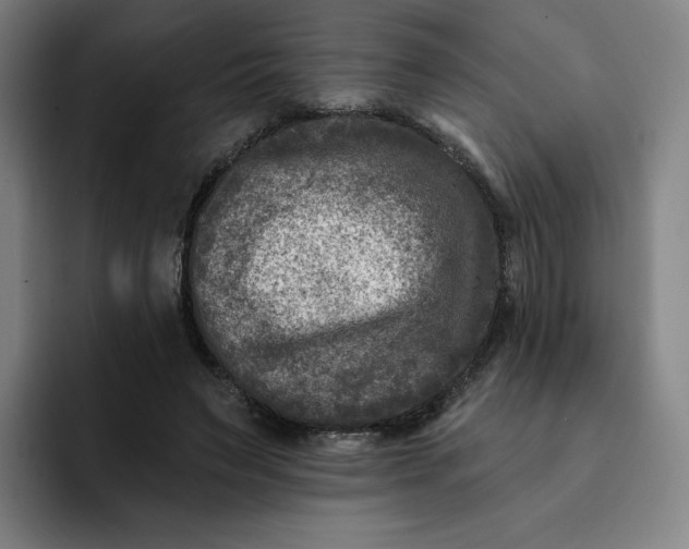 X0000091890495200709261642