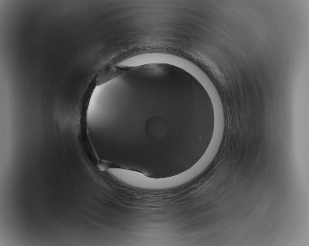 X0000091890496200709261642