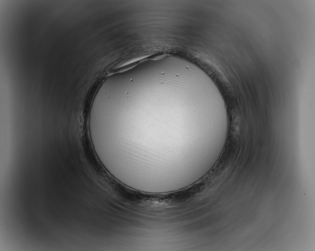 X0000091890498200709261642