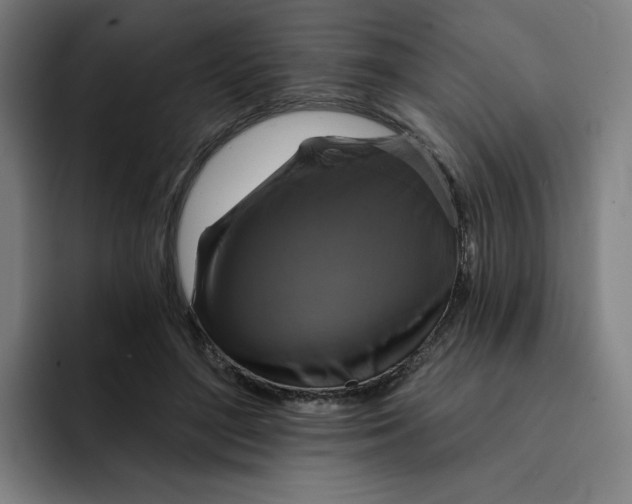 X0000091890500200709261642